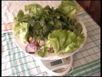 Ebéd10 Leveles zöldek vizitorma, saláta, céklalevél, mángold, cikória.jpg