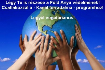 Föla Anya.jpg