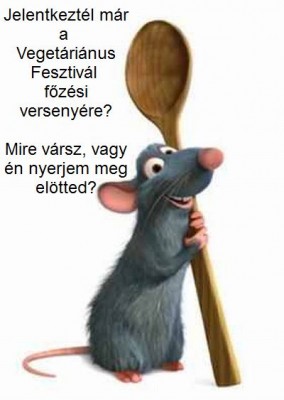 remy-the-rat-cook-who-asp_4a44b6a9a847f-p.jpg