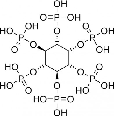 spring2010-phyticacid.jpg