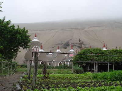 DSC09982.JPG